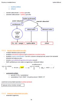 Skripta k přijímačkám na medicínu - 13
