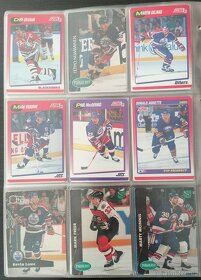 Sběratelské Hokejové karty Ultra Fleer 1995/96 - 13