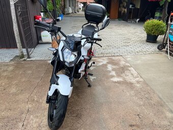 BENELLI BN 125 Euro 5 - 13