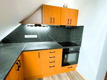 Prodej rodinného domu v centru Plzně, Slovany - 13