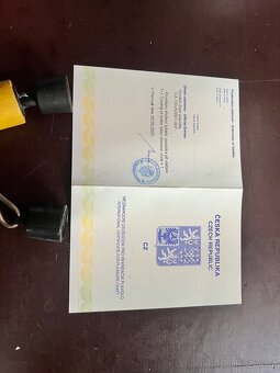 Vodní skútr Sea-doo RXT 215 vč vozíku - 13