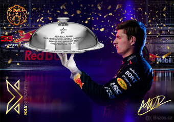 Max Verstappen 2021 World Champion Red Bull F1 RB16B Abu Dha - 13