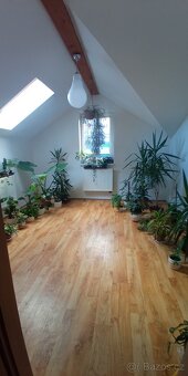 Rodinný dům k prodeji obec Hukvaldy sleva kupní ceny - 13