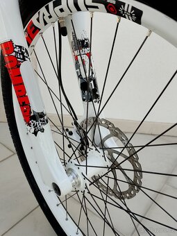 UMF HARDY - dirt, street, pumptrack - 13