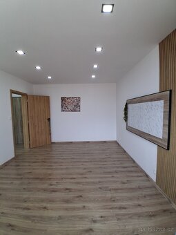Prodej kompletně zrekonstruovaný byt 1+1 33m2 s lodžií 4m2 - 13