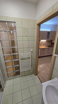 Prodej bytu 1+kk • 50 m² - 13