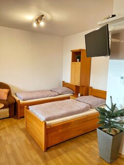 Pronájem byt 1kk (40m2) + park. stání, Čeladná - Farské luky - 13