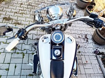 FLSTN HARLEY-DAVIDSON HERITAGE SOFTAIL DELUXE 1600 96”inch - 13