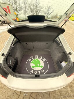 Škoda Rapid 1.4 TDI 66kW - 13