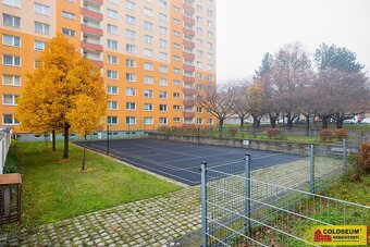 Brno - Královo Pole, byt OV 1+1, sklepní kóje, lodžie, inves - 13