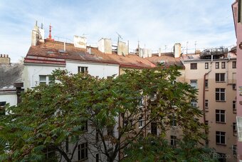 Na prodej byt 3+kk ,70 m2,ulica Řehořova, Praha 3 - Žižkov - 13