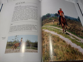 Odborná literatura o koních, jezdectví - Trénink koně - 13