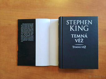 Stephen King - Vlci z Cally a Temná věž - 13