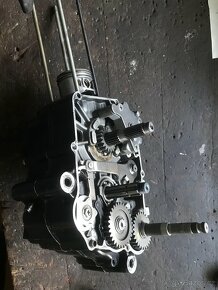 Dily pitbike 125 - 13