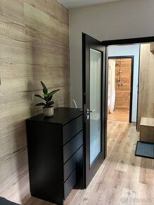 Apartmán Vrbno pod Pradědem - Jeseníky - 13