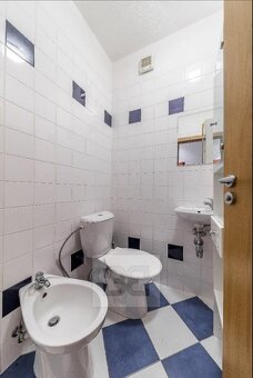 Pronájem jedinečného bytu 2+1, 85 m2 - Praha - Břevnov - 13