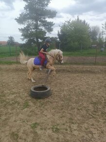 Nabízím vození na koních - 13