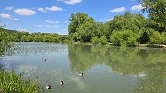 Pronájem bytu 2+KK (47m2) se dvěma lodžiemi, Kuřim, Wolkerov - 13