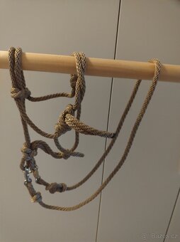Hobby horse - 13