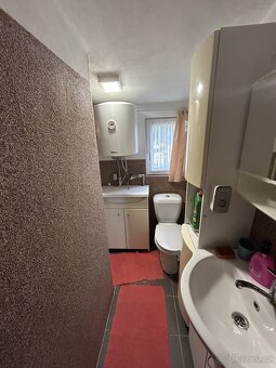 Prodej velké chaty se zahradou, Opatovec - 13