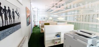 Exkluzivně nabízíme na pronájem kompletně vybavenou luxusní  - 13