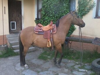 Westernové sedlo WESTMAN - 13