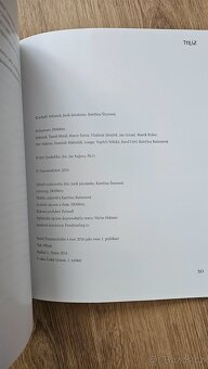 Komiksová Kytice  - K.J.Erben - 13