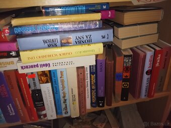 Sbírka knih - 13