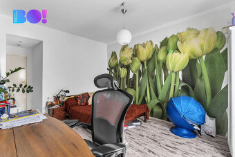 Prodej rodinného domu 4+1, 1 051 m², ul. Na Kopanici, Chrudi - 13