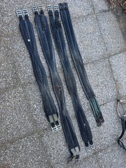 Animo, GLC, kentaur, sedlo drezurni... - 13