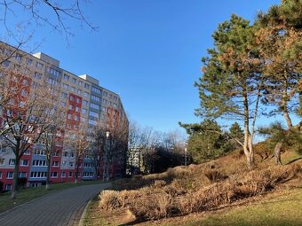 Prodej bytu 3+1, osobní vlastnictví v Mostě. - 13