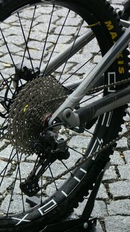 Canyon neuron 5 - 13
