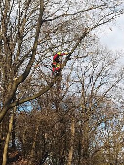 Rizikové kácení - 13