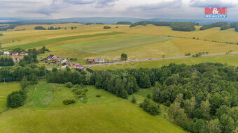 Prodej louky, 4178 m², Dětřichov - 13