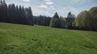 Prodej louky o celkové výměře 23 943 m2 nedaleko Frýdavy - 13