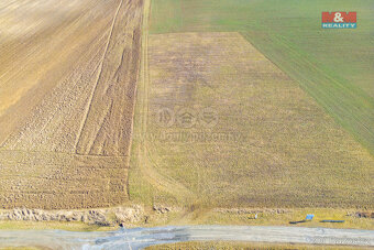 Prodej pole, 5000 m², Horní Bělá - 13