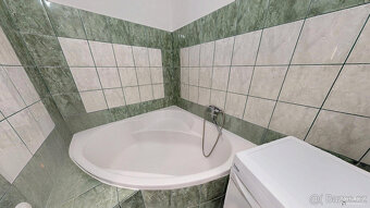 Krásný byt s vlastní garáží v srdci přírody (VÝRAZNÁ SLEVA) - 13