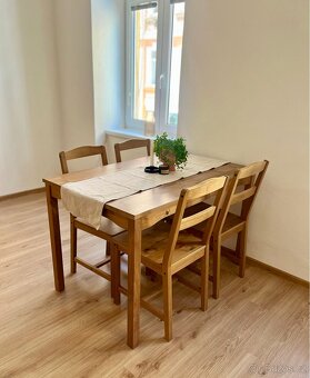 Pronájem bytu České Budějovice 1+1 40 m² centrum - 13