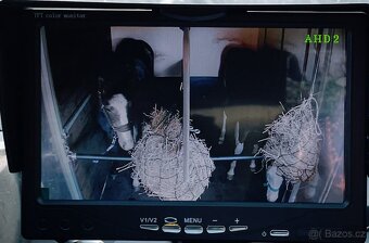 Pronájem autopřepravníku pro dva koně s kamerou na řp. sk. B - 13