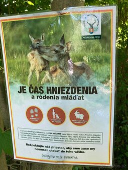 Prodám pozemky v malebném prostředí  obce Hrabové-Slovensko - 13