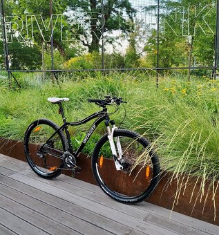 Horské kolo Specialized Jett Comp, rám 19", kola 29" - 13