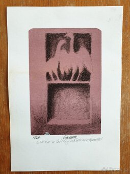 Prodám Starožitnosti obrazy,mapy,pohledy - 13