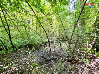 Prodej vodní plochy, 3255 m², Skalice u České Lípy - 13