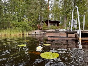 Chata se saunou ve Finsku - klid, relax a rybolov - 13