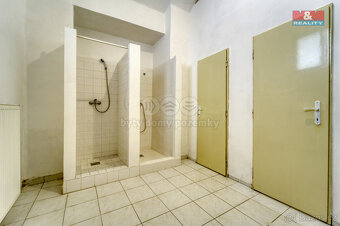 Pronájem obchod a služby, 167 m², Plzeň, ul. Palackého - 13