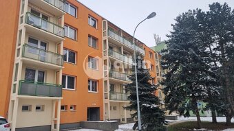 Pronájem bytu 1+1, 39 m2, Vyškov - 13