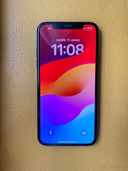 Apple iPhone Xs 256 gb Space Grey - 13