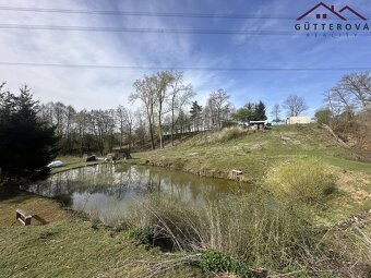 Prodej pozemků se dvěma rybníky, 15 233 m2 - Hradec u Stoda - 13