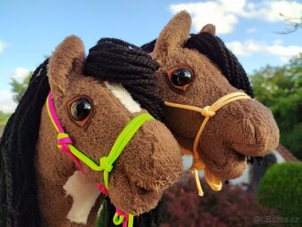 Hobby horse - 13