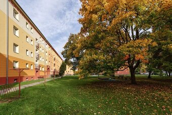 Prodej bytu 2+1 po rekonstrukci v klidné lokalitě Hodonína – - 13